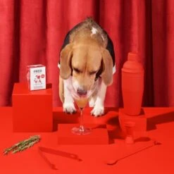 Fred & Felia FRED 10x200g Dog Drink "Wuffmopolian" 6 Fred & Felia FRED 10x200g Dog Drink "Wuffmopolian" -ROYAL CANIN Verkaufsgeschäft 836bfb6dd73194a62db73e72df2a3ff6435c8521 1422080 de DE 8b70b618129e9c036f3d4ca21a7cc2907535bb5dk5tCe1