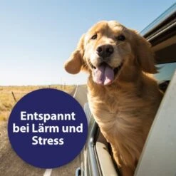 Canosept Home Comfort Beruhigungsspray Für Hunde 100 Ml 9 Canosept Home Comfort Beruhigungsspray Für Hunde 100 Ml -ROYAL CANIN Verkaufsgeschäft 83722164e39a9871cce2ee23a4ff550833c770e3 canosept home comfort content 03