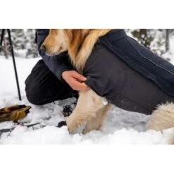 Ruffwear Cloud Chaser™ Hundejacke Schwarz XXS 19 Ruffwear Cloud Chaser™ Hundejacke Schwarz XXS -ROYAL CANIN Verkaufsgeschäft 839577c6525280e266f62f99f67ccc111fd75c4b 1369623 de DE 87ed046f15d6c099e4f33a0b92b8494c495a6d97bF4WS9