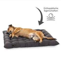 Pointer Liegekissen Urban Anthrazit M -ROYAL CANIN Verkaufsgeschäft 842d1daa01db6908ed762a834a71dbd87f775e68 ac8e745370771be38fea779f16103f0733ebd31f
