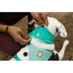 Ruffwear Swamp Cooler™ Kühlendes Halstuch Blau/ Türkis XXS -ROYAL CANIN Verkaufsgeschäft 84380b323534f706adb064c5f59bfe1f6f8adfcb 1639914 de DE 09b76313830836f68f333eee06c0a6bd83fbeec4Hirkw3