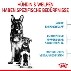 ROYAL CANIN MAXI Starter 15kg -ROYAL CANIN Verkaufsgeschäft 84509061cc88bbba93af28332fe80ae82ca37ef9 1044296 de DE royalcaninwb2