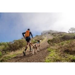 Ruffwear Hi & Light™ Geschirr Blau XXXS -ROYAL CANIN Verkaufsgeschäft 84fb3768d76aaadc77eacf0db0051f1af74c62df 1453085 de DE 781043d5a0c42f3d294eead840f1254891671d23roVLy1