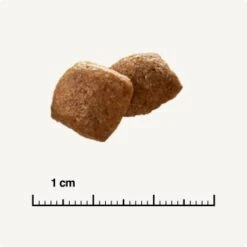 SELECT GOLD Urinary Adult Geflügel & Reis 2,5 Kg -ROYAL CANIN Verkaufsgeschäft 854b6f3783a732e74601afa7a935f9af2b196682 1001086022 de DE 6