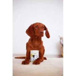 DOG'S LOVE Junior Pute Mit Apfel & Zucchini 6x200 G 5 DOG'S LOVE Junior Pute Mit Apfel & Zucchini 6x200 G -ROYAL CANIN Verkaufsgeschäft 866f0366110a0d550798b082996f06b8d40011aa 1274535 1