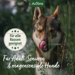Aniforte Trockenfutter FjordSalmon - Frischer Lachs Mit Kartoffeln 2 Kg 9 Aniforte Trockenfutter FjordSalmon - Frischer Lachs Mit Kartoffeln 2 Kg -ROYAL CANIN Verkaufsgeschäft 868cdd340c91776a806285e3d7e96964a3100b4a 1497806 de DE 633911faac3a9e48a06680ed5c3e6acdc44879d76EngNN