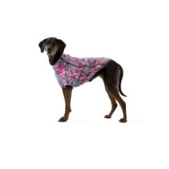 Ruffwear Climate Changer™ Fleece-Jacke Für Hunde Andere M 12 Ruffwear Climate Changer™ Fleece-Jacke Für Hunde Andere M -ROYAL CANIN Verkaufsgeschäft 86e7c61fbb59c42e6a9952c35792683bfe925ee1 1369650 de DE 0f7eaefedef9dc647cc2252d60c10845d7c68c4e7jOb8s