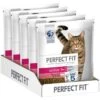 PERFECT FIT Active 1+ Mit Rind 5x1,4 Kg -ROYAL CANIN Verkaufsgeschäft 8773d856bcff88f5943dbc84646984a6672c6863 b389001708a4117cc59a8c6f9f8adfbb24e3e7bd