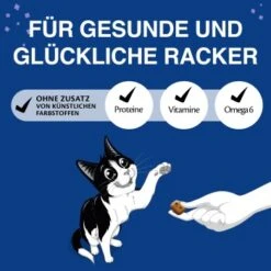 Felix KnabberMix Original & Strandspaß Katzensnacks 2 X 8 Beutel à 60g -ROYAL CANIN Verkaufsgeschäft 878510f86bf7649080f45870d3d822d01ee54bf1 1364343 de DE felix snacks wb3