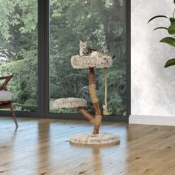 Neu eingetroffen -ROYAL CANIN Verkaufsgeschäft 87f0327374e5809e6ea9f0a09dbc2d6a0f7e7402 1407289 Milieu MF K