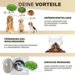 URBAN PAUL Schnüffelteppich - Grün -ROYAL CANIN Verkaufsgeschäft 88b1e83589eb6f9b9d6ae1ee9e00f76cd280ec72 1477263 de DE c4a0dff3ce61eff6f47a9625e837cb3fb18e27168j8mOa