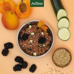 Aniforte Ente 2,4 Kg -ROYAL CANIN Verkaufsgeschäft 8935a7450ab8ddc34729bfe6098b06abc30af9cb 1422204 de DE 9202deb0f72c6fb6a090e358d9de03093d55392085KOyC