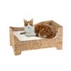 Silvio Design Heimtier-Ottomane Mit Kissen 1 Silvio Design Heimtier-Ottomane Mit Kissen -ROYAL CANIN Verkaufsgeschäft 893ff1f5f96b2ca40baf6e519a28b4c0e967ef4e 0241110b20015be8ffa37b734948e393c28c56d9
