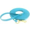 Bio-leine 25-35 Kg Schleppleine Biothane Azurblau 3 M -ROYAL CANIN Verkaufsgeschäft 89c33126c0927a7d8a1939d7040658a4f4be4722 1458873 de DE ac0a53c104efefe2d23a422fd438c6b0a91e7589rA65KG