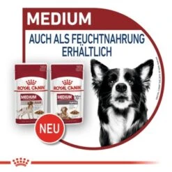 ROYAL CANIN MEDIUM Adult 10x140g 11 ROYAL CANIN MEDIUM Adult 10x140g -ROYAL CANIN Verkaufsgeschäft 89d972ad7b4e2530c6050fa10b41681c85a66fa8 9003579008362 8