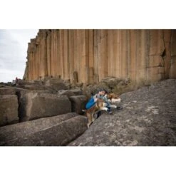 Ruffwear Grip Trex™ Hundeschuhe -ROYAL CANIN Verkaufsgeschäft 8a04129089dd0c034c3440ca2f5a059543497a42 1363993 de DE 62eaf59e4c30b32a0494684f66bc46a3e77f909dJ6uyPm