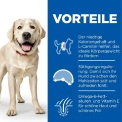 Hill's Science Plan Light Adult Large Breed Mit Huhn 18 Kg -ROYAL CANIN Verkaufsgeschäft 8a2f8f0cfb00e9d10c3215f8584bc7fdb5ea7eb1 52742025902 4