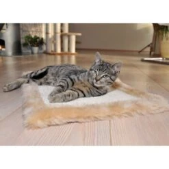 Silvio Design Möbelschoner 50 Cm, 35 Cm, 2 Cm 7 Silvio Design Möbelschoner 50 Cm, 35 Cm, 2 Cm -ROYAL CANIN Verkaufsgeschäft 8a73e6a08fdc9580c25fdec07cbc7957a9497914 67b116e5d0fbd6480fe2fcc0e5fc0dea58615d8d