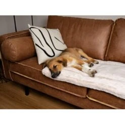 TrendPet Harmony Gefütterte Liegedecke Creme XS -ROYAL CANIN Verkaufsgeschäft 8a90b0a9111c9f8c3102709bd3f96183b3562c59 1390614 de DE 76a51ca8d6aad29feaec164f24c0d781c9ed8ce7YdJOW0