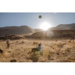 Ruffwear Hover Craft™ Spielzeug Orange -ROYAL CANIN Verkaufsgeschäft 8b74389fdbc592fa493fa8449b24cad477f71e65 1364297 de DE d7bfcddc5967d79946d8e13f648d6053d56005c9XiBl8J