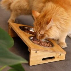 Lionto Futterstation Mit Bambusgestell -ROYAL CANIN Verkaufsgeschäft 8c56991d507e18b3df4a2f4045dbd93cd3bd9353 1665980 de DE aa6482f6e46fc6375e62da8010ac0599c0ca4960aJFeP6