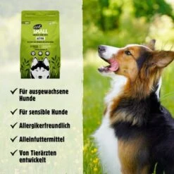 Eat Small EatSmall 2kg Maxi Active Trockenfutter -ROYAL CANIN Verkaufsgeschäft 8ce5231807dbcfa11bfebbb58ab3376db975810f 1450723 de DE 045556f8e417da90be61f538db133a32cf0ddbabSrtas7