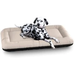 Knuffelwuff Wasserfestes In Und Outdoor Hundebett Lucky Color Edition Aus Nylongewebe Beige XL -ROYAL CANIN Verkaufsgeschäft 8dd02eaae612e5563702fdcfe16605b525d74142 1411797 de DE d114daa6157992e4ce140d57abc1c52285d7dd64ZAW4MD