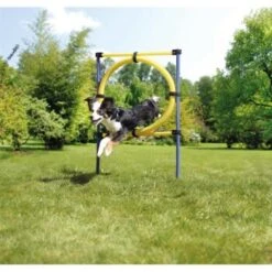 AniOne Agility Set -ROYAL CANIN Verkaufsgeschäft 8dd2c346cfba9b57b3f14270694b3f975d0558fa 8ae19109d8863c833405d8d5b2e72b4315e858f5