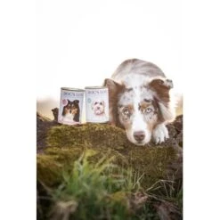 DOG'S LOVE Adult Hypoallergen 6x400g -ROYAL CANIN Verkaufsgeschäft 8e9dbde41a1a7703f7e724e8cfbb5769f1859ef8 1274558 2