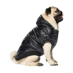 Canada Pooch Glänzende Pufferweste XXS -ROYAL CANIN Verkaufsgeschäft 8ec11177ec9f86d200ff22bc3e0c234ecff91e7e dfb5b396c833a1ace7625fc5796632bee13eda68