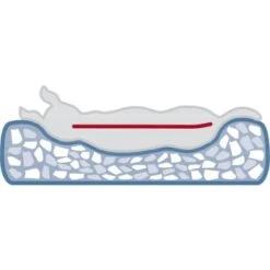 Trixie Vital Bett Noah 50 Cm, 50 Cm, 17 Cm -ROYAL CANIN Verkaufsgeschäft 8f80fa8eb5a48591717c668bd46914fa7efa55b1 1340492 de DE 1d7984e7a0780c7270c71e6eea10dd366c3aac48Kr03jO