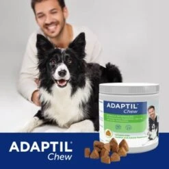 ADAPTIL Chew 30 Stück Anti Stress Snack 17 ADAPTIL Chew 30 Stück Anti Stress Snack -ROYAL CANIN Verkaufsgeschäft 911ab9810720a965c25ffa3f6d5ebbcc45da40d1 1374744 5