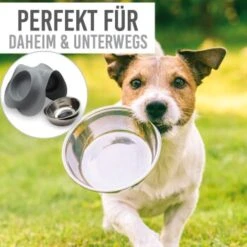 KaraLuna Napfunterlage Mit 4 Näpfen Grau 0,2 Cm³ -ROYAL CANIN Verkaufsgeschäft 91edc8a5264495986632e85e519ea0d6174baf34 1407482 de DE 86ec41c9cd718785d561e9ab479b800f47302bf9415Rf7