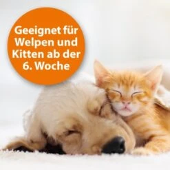 Ardap Zeckenspray Zur Anwendung Am Tier 250ml -ROYAL CANIN Verkaufsgeschäft 9272803643c1f70810d2a16249dd5d87e91ec656 1288166 de DE 2c32600986b8d1331d3e1894efc59b329f53f468rxVYPU