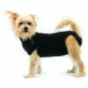 Trovet Hundebody Recovery Suit Schwarz XXS -ROYAL CANIN Verkaufsgeschäft 92d14012c332f0a5a46b2a7887d2e493de373061 bbc558c1bdf8e1bee3228f5e0e39819075b810aa