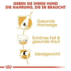 ROYAL CANIN Bichon Frisé Adult 1,5 Kg 11 ROYAL CANIN Bichon Frisé Adult 1,5 Kg -ROYAL CANIN Verkaufsgeschäft 9360ef399dd7991f4138416a3168c1b58cc56899 7f2fbf0f9eb0dedb42b1d34e34eb41ac36d13a97