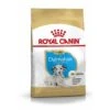 ROYAL CANIN Dalmatian Puppy 12kg 1 ROYAL CANIN Dalmatian Puppy 12kg -ROYAL CANIN Verkaufsgeschäft 9382d940cc28c8c30c9bd3f1689ced9e62f62f96 1037361 de DE rc2 3