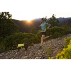 Ruffwear Trail Runner™ Laufgurt Limonen Gelb L-XL -ROYAL CANIN Verkaufsgeschäft 93a58c4fc27710218901d94aece28188b07bd319 1651444 de DE 8247d7fe22d77de2e7ea731c778011a0fe985828KUUc7c
