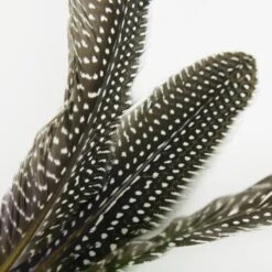 Schlitzohr Katzenangel Federanhänger 5x -ROYAL CANIN Verkaufsgeschäft 93b8e0c984d323f24d455bf8e74e2dbacef5703e 1484675 de DE 7b80f213f44ebcad765dbdebc25bf2d2f0177dbd64kHU2