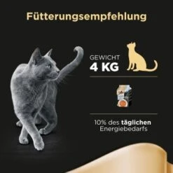Sheba Soup 40x40g Weißfisch -ROYAL CANIN Verkaufsgeschäft 93f082b601a7b2e35c4b26bddfa8b3a21a066ff1 013302da02baf9b7b82258f829fb901d4e9267cf