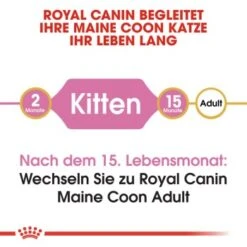 ROYAL CANIN Maine Coon Kitten 4 Kg -ROYAL CANIN Verkaufsgeschäft 9494efda15798aa930f4c836c086824869519e76 d153c89f98a812830b790602e2c1dd84504c30b9