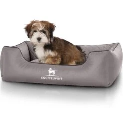 Knuffelwuff Hundebett Milan Aus Laser-gestepptem Kunstleder Grau M-L -ROYAL CANIN Verkaufsgeschäft 9612ffee2131beb9ffb0baa520cc686093b9330d 1410613 de DE f6b1d6d2cbd161ac510a0896bb50a6e632f7d188kD7SaQ