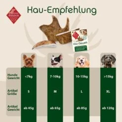ChronoBalance Kaugeweih Damhirsch (L) 2er Paket -ROYAL CANIN Verkaufsgeschäft 963b999a9c6596e09eca5193bb20367a9571a8f0 1418697 de DE 9d0fae21483906190d35a659049e257a0043b15enjLP8g