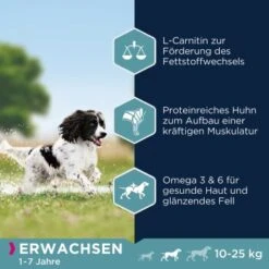 EUKANUBA Active Adult Medium Breed Mit Huhn 15 Kg -ROYAL CANIN Verkaufsgeschäft 974a6b86f2565ad809ee31d93823535018b6d34e 8710255119786 2