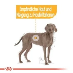 ROYAL CANIN Dermacomfort Maxi 12 Kg -ROYAL CANIN Verkaufsgeschäft 978db22590ba776f59a9c9320bcbe8c33f40379a 1376168 de DE aosa 5