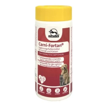Fortan Carni-Fortan Pulver Mit L-Carnitin 80 G 3 Fortan Carni-Fortan Pulver Mit L-Carnitin 80 G