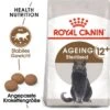 ROYAL CANIN Ageing 12+ Sterilised 4 Kg -ROYAL CANIN Verkaufsgeschäft 9802dd133559937b704068f6cc8306b45b98c2ea c94ee72411cd7bd6a72a1493c122daa72c82a5e1