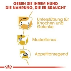 ROYAL CANIN Dachshund Adult Mousse 12x85g -ROYAL CANIN Verkaufsgeschäft 982fa56de23080eda60824de668a90bb86526e42 2f665959d4c475e51ab5a55b633f70a2346bb169