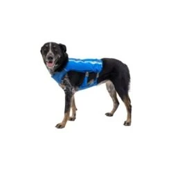 Ruffwear Trail Runner™ Weste Blau XS -ROYAL CANIN Verkaufsgeschäft 98442c3f4ada02dc38bbe918031392b2ba7e1943 1639640 de DE 57b978069b1aa95a705eb1af32811decb2e9cfecAOoih7