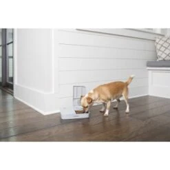 PetSafe Futterautomat Für 2 Mahlzeiten -ROYAL CANIN Verkaufsgeschäft 98670f242f118bad629edcf021dc784c6a55633d 1343837 2